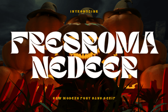 Upgrade Your Brand with Fresroma Nedeer Display Fonts